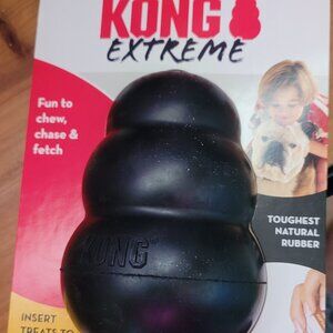 Kong dog toy